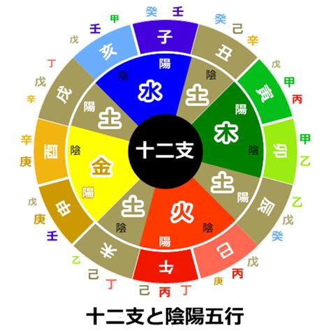 陰陽五行 男女|陰陽五行占い｜生年月日で鑑定！四柱推命で調べるあ 